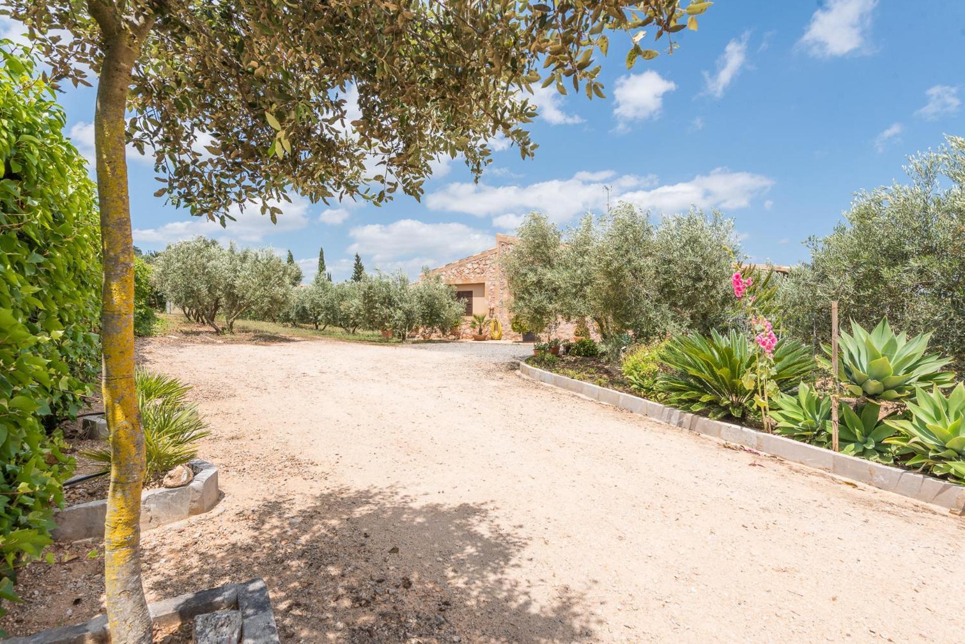 Finca Ses Oliveres By Mallorca House Rent Villa Son Carrio  Exterior photo